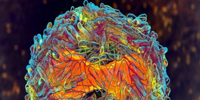 ec6951bcae9e5a030acdf582e689e2d0