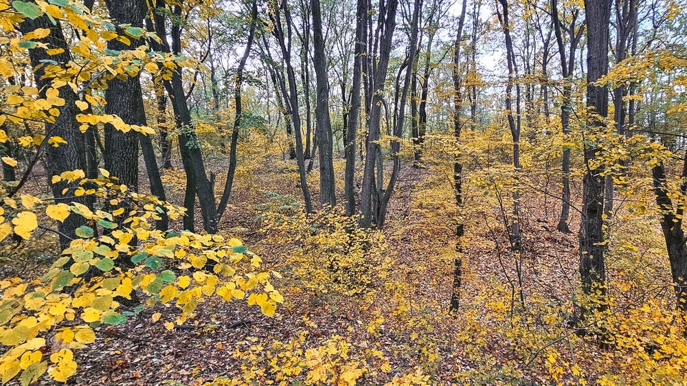 52d834a7009f421285cdcfcd8d9e3a7d