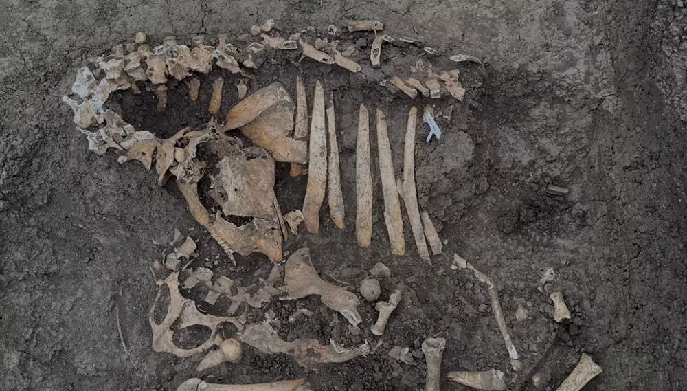 6140dfd4654a8c5625f93b0252d829f9