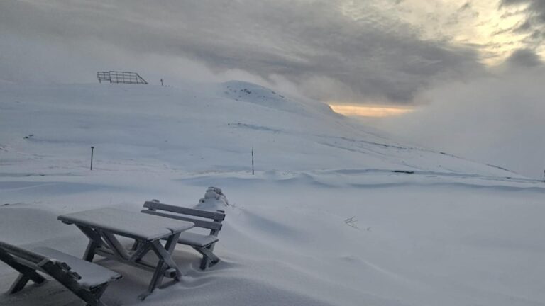 908dc725dace1ac4a579b8427416b9fd-1