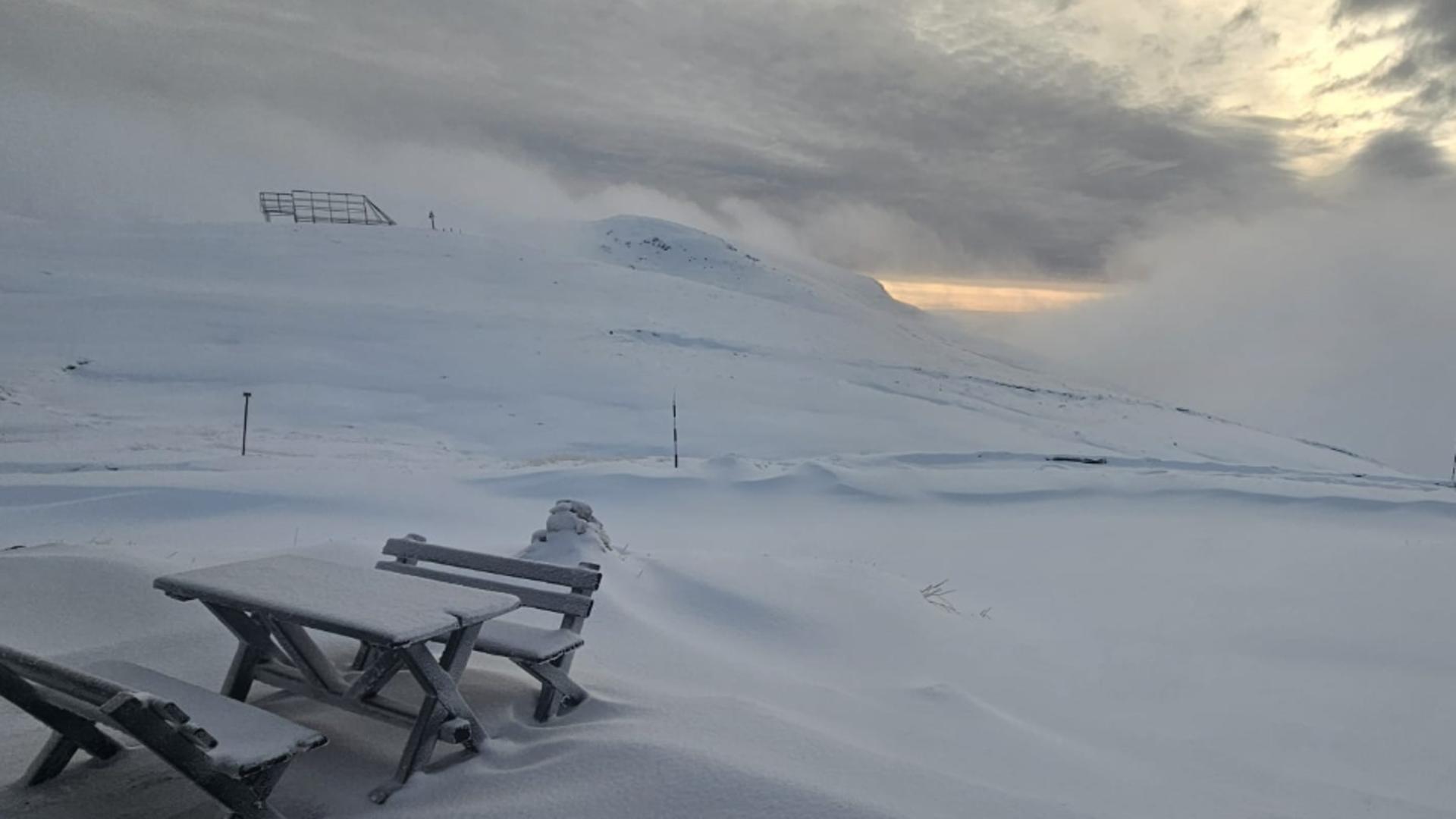 908dc725dace1ac4a579b8427416b9fd-1