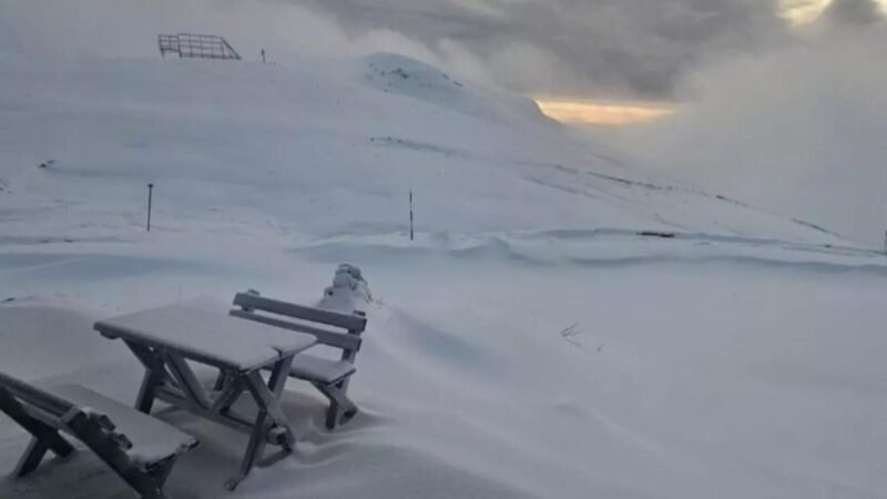 b422859060659894b884992b3707d41a