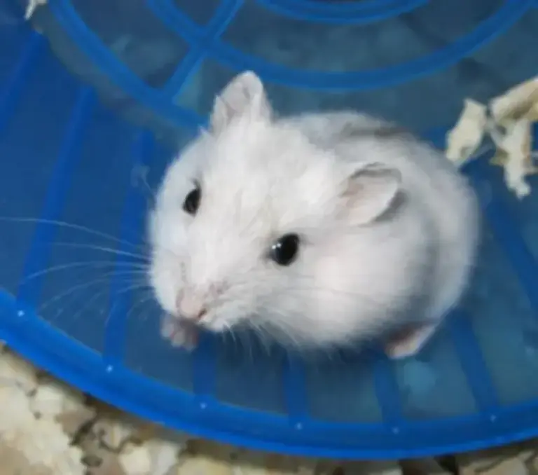 da86ec89724b9d1c9a4298f5b127caf3