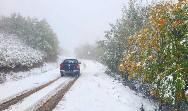 e6e1b3201ea4abc8bb096fd876be906d