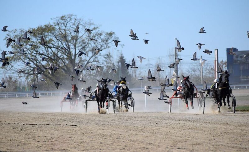 f19863a76814140daf11f0f5f6046509-1