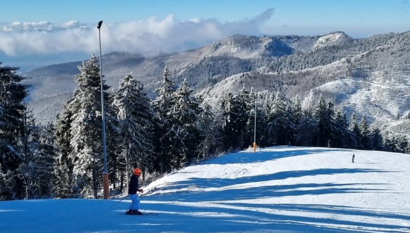 297ba0c8869449f21d457311ae3fb2f0