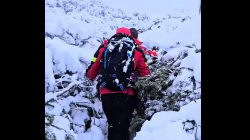 416bfdd5e307a059d44bf171b6d115f5