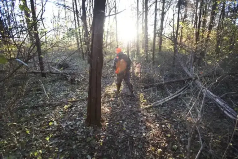 6c137f264aab185e6be49e97158a823b