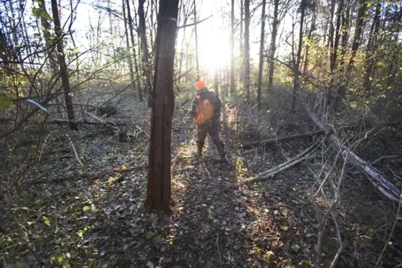 6c137f264aab185e6be49e97158a823b