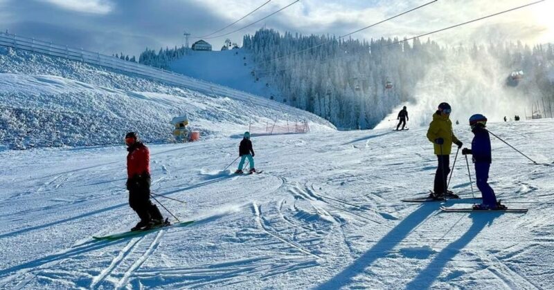 93aa4b56a7586215501a419f460a3067