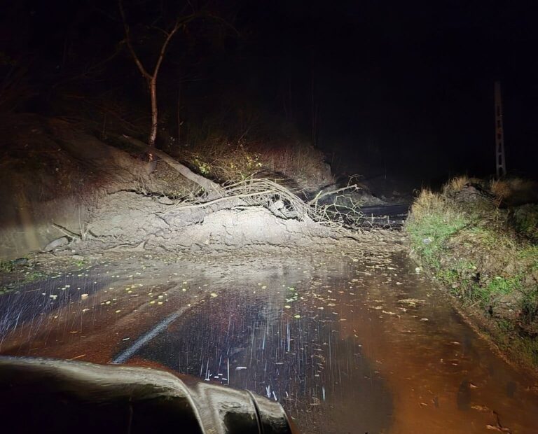 207415a2756729a2104fe67563eaa538-1