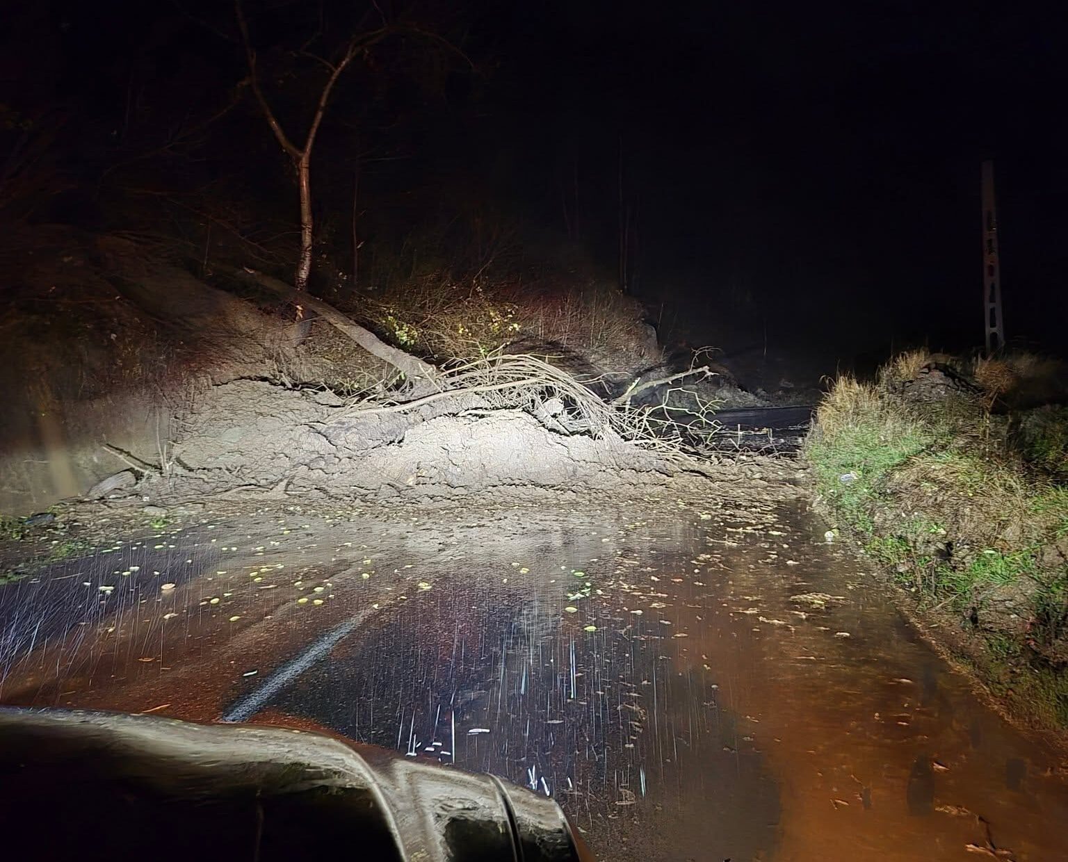 207415a2756729a2104fe67563eaa538-1