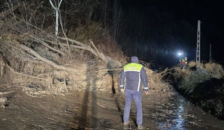 d1a4031c91d8feca9276a4c705e96f8c