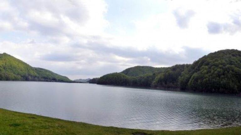 0dbf01a71aea7843569702fa7047cc8e-1