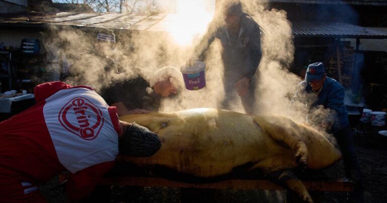 2fd465c7dc601db9fe4a543647ac1d74