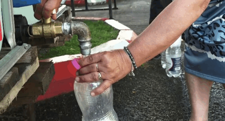 43c207f5deb4ba8e47a6639910da5720-1