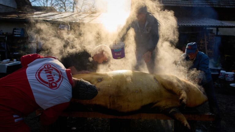 df7ce77fde0ba9e1dc5fb63180762cca